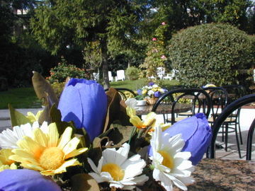Park Dei Massimi 4* Rom
